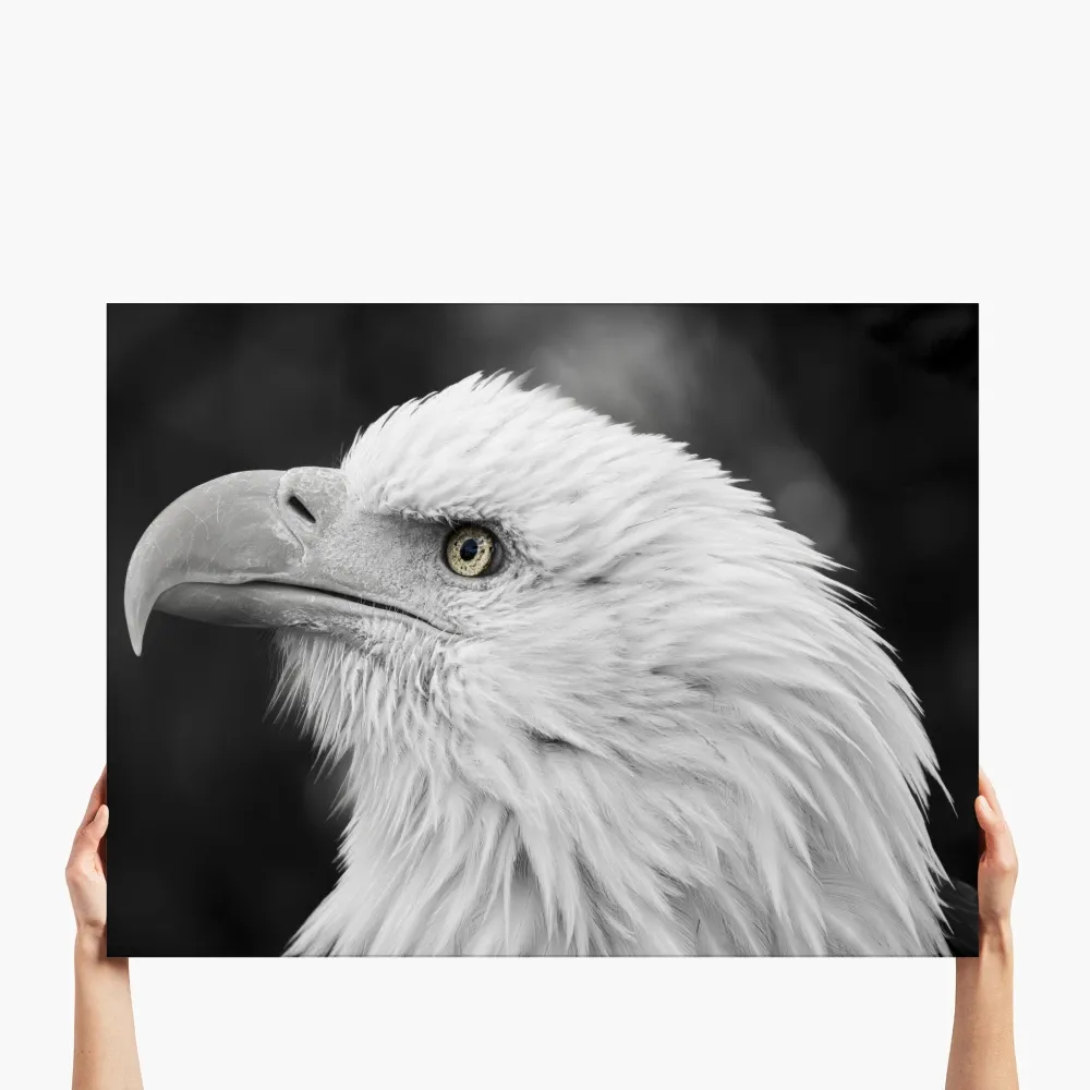 extra-large-landscape-glass-print-1-36R-NONE (1).webp