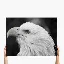 extra-large-landscape-glass-print-1-36R-NONE (1).webp