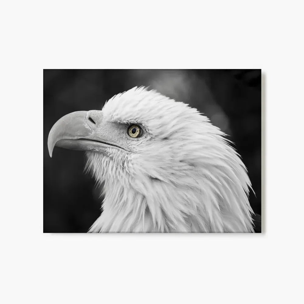 extra-large-landscape-glass-print-2-36R-NONE (1).webp