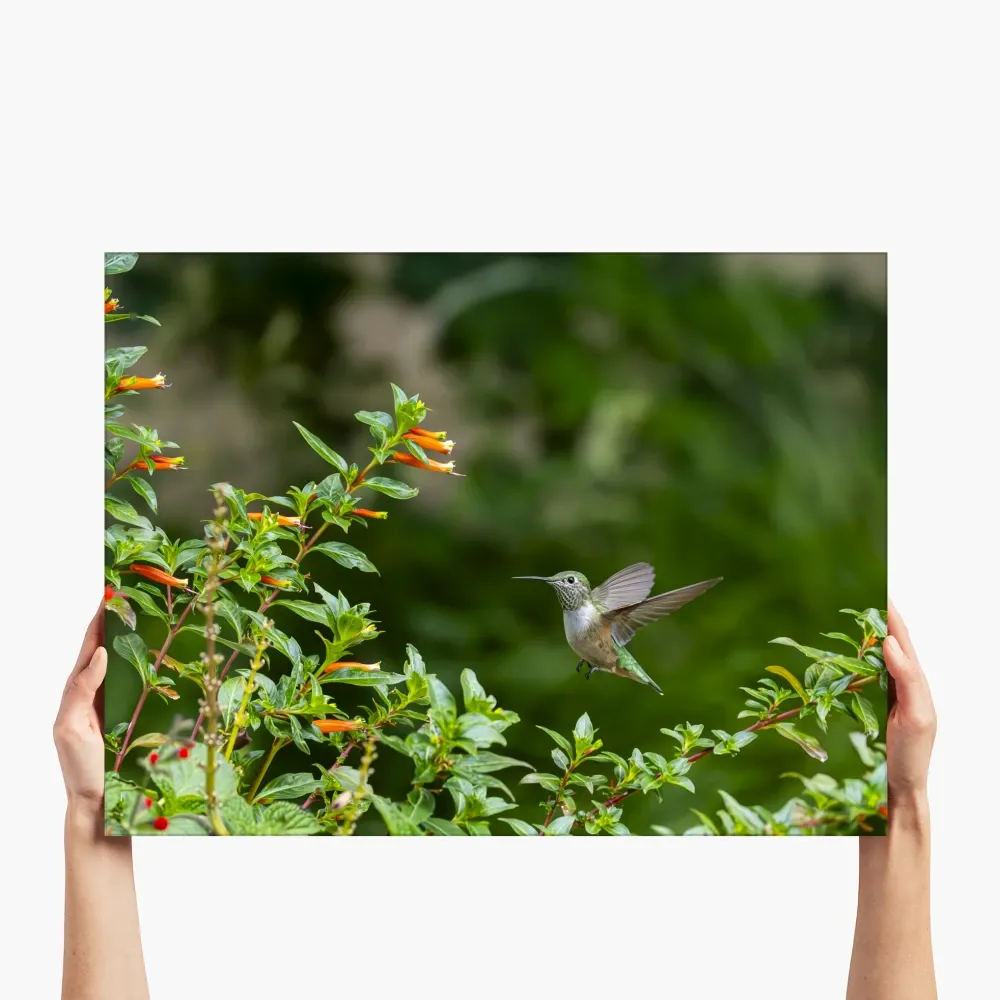 large-landscape-glass-print-1-26R-NONE.webp