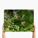 large-landscape-glass-print-1-26R-NONE.webp