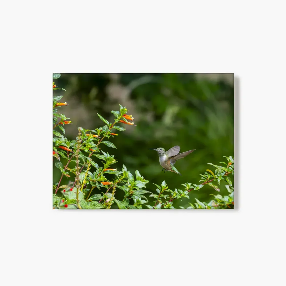 large-landscape-glass-print-2-26R-NONE.webp