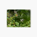 large-landscape-glass-print-2-26R-NONE.webp