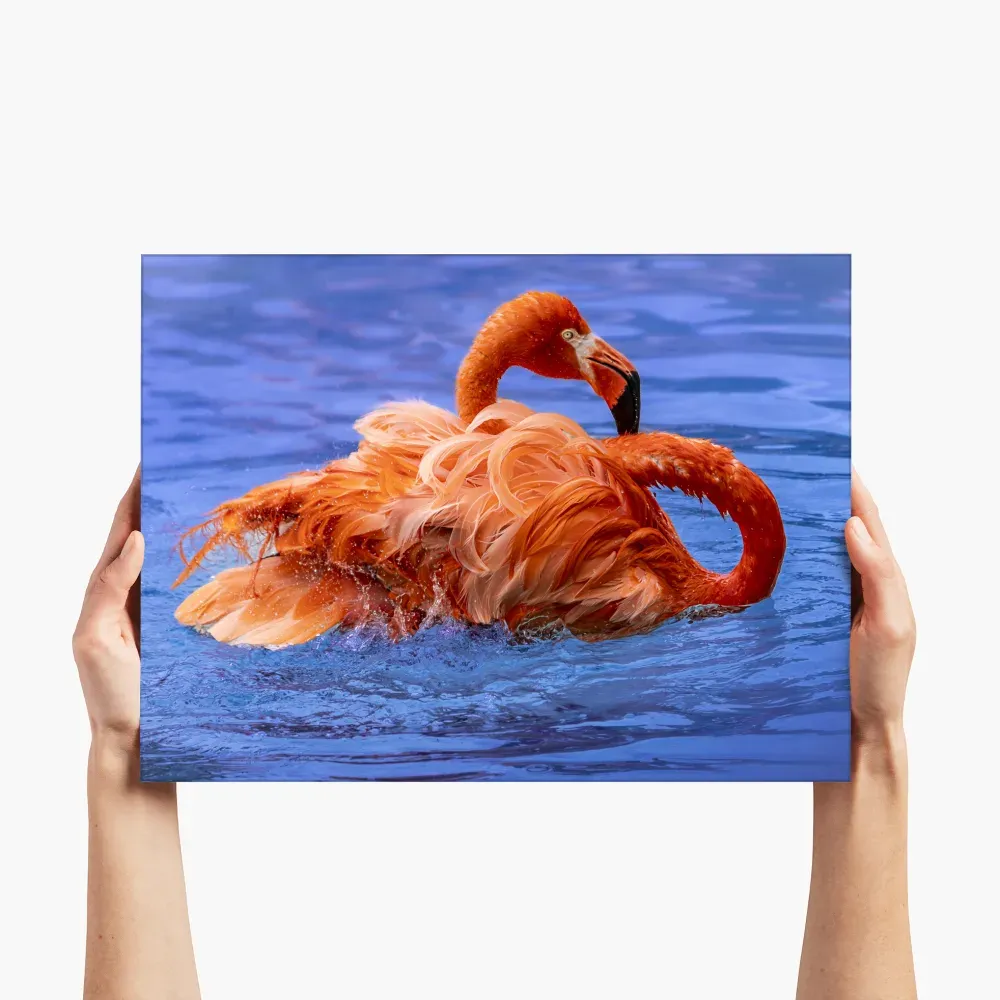 medium-landscape-flamingo.webp