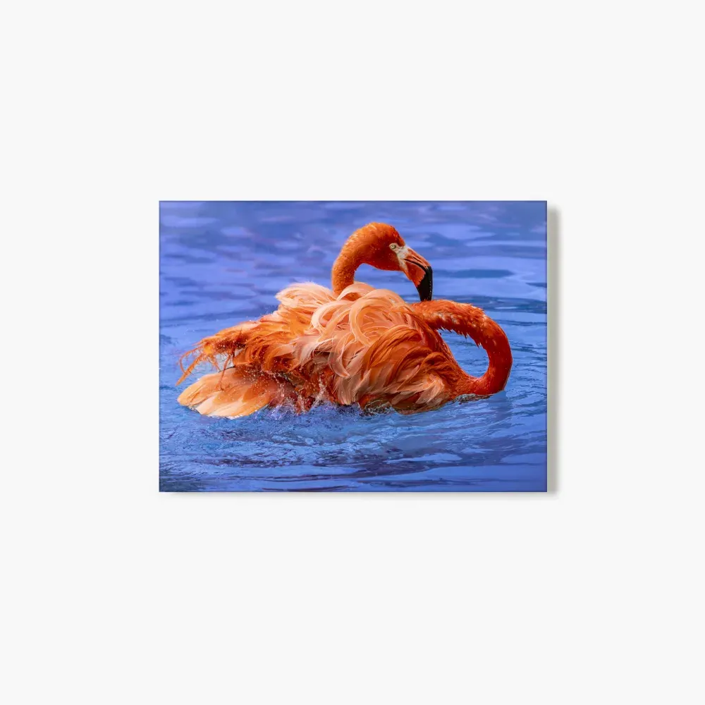 medium-landscape-glass-print-2-flamingo.webp