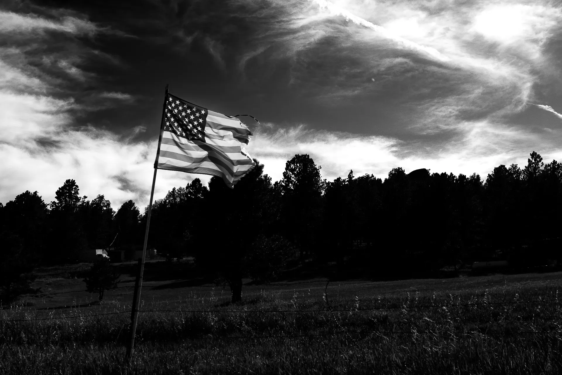 Until We Stand (8 X 10 (Print))