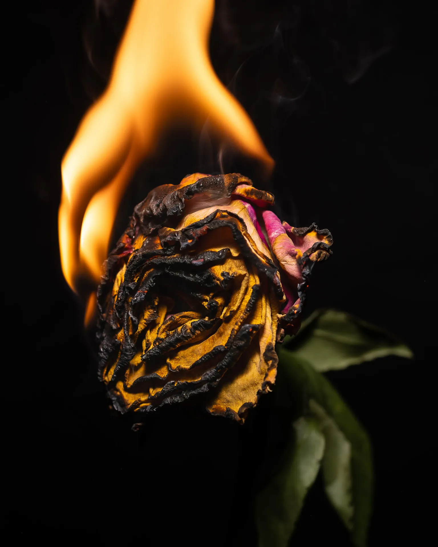 Grasping Embers