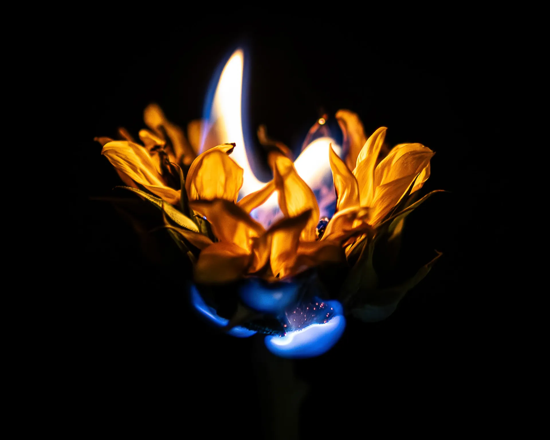 The Suns Flame