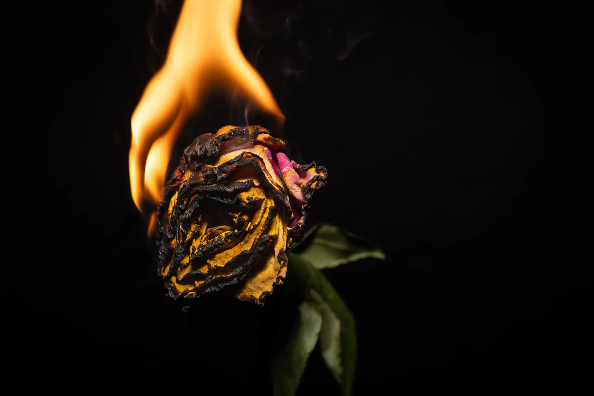 Grasping Embers (16 X 20)